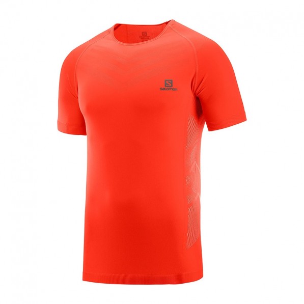 salomon trail shirt