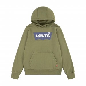 Sweat à Capuche Levis Juniors Hoody