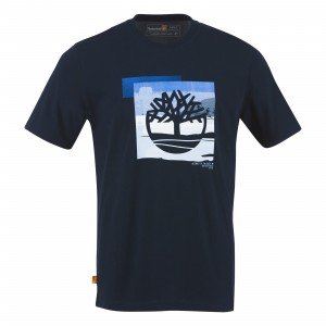 Tee shirt Timberland SS Coast Graphic