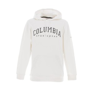 Csc basic logo ii hoodie