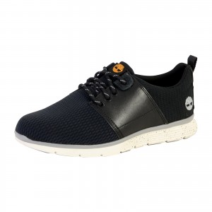 Chaussure Timberland Killington L/F Oxford