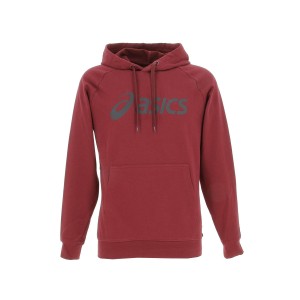 Big asics oth hoodie