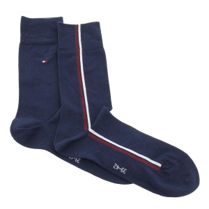 Th men sock 2p global stripe