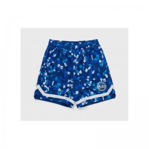 Short de basketball Puma Venice Basketball Bleu