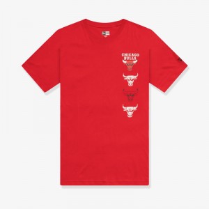 T-Shirt NBA Chicago Bulls New Era 23