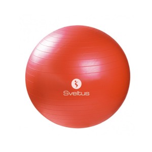 Gymball 65cm