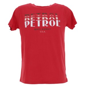 Men t-shirt ss classic print