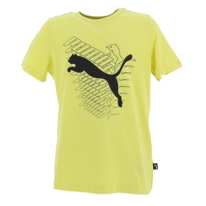 B graf cat tee