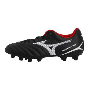 Mizuno