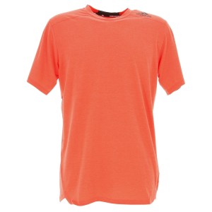 M d4t tee