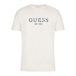 Ss cn guess iridesce