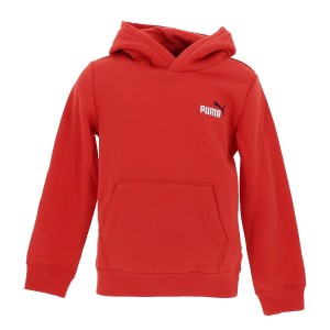 Ess 2 color small no. 1 logo hoodie