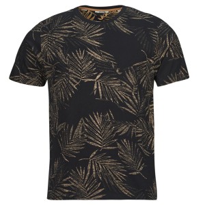 Blossom ts m m+