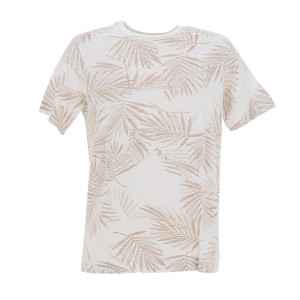 Blossom ts m m+