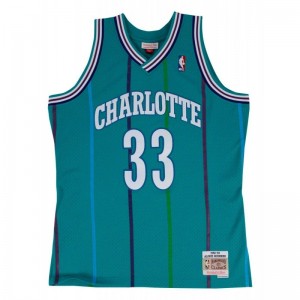 Maillot NBA Alonzo Mourning Charlotte Hornets 1992-93 Mitchell & Ness Hardwood Classic swingman Bleu