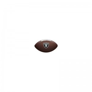 Ballon Football AmÃ©ricain NFL Oakland Raiders Wilson Licenced