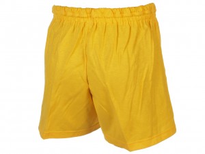 Short Multisport Homme Panzeri Uni a jaune jersey short