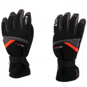 Gants Sports Hiver Ski Homme Cairn Styl 2 m c-tex gra/sca