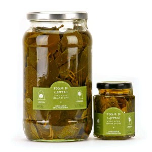 Feuilles de câprier à l'huile d'olive extra vierge - Bocal 100g