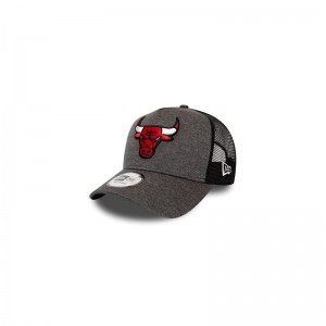 Casquette NBA Chicago Bulls New Era Team Shadow Tech Trucker Gris