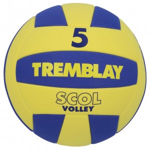 Scol volley jne roy t5