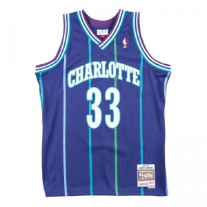 Maillot NBA Alonzo Mourning Charlotte Hornets 1994-95 Mitchell & ness Hardwood Classic swingman Bleu marine