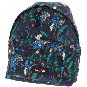 Padded pak zebra zone