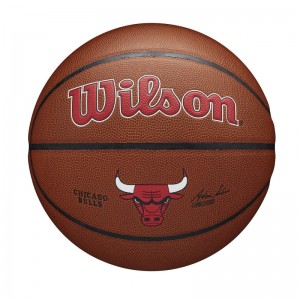 Ballon de Basketball NBA Chicago Bulls Wilson Team Alliance Exterieur