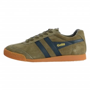 Basket Gola Harrier Suede