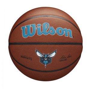 Ballon de Basketball NBA Charlotte Hornets Wilson Team Alliance Exterieur