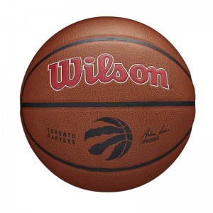 Ballon de Basketball NBA Toronto Raptors Wilson Team Alliance Exterieur