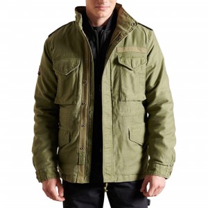 Veste à Capuche Superdry Borg Lined