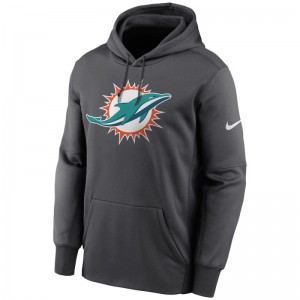 Sweat à capuche NFL Miami Dolphins Nike Prime Logo Therma Gris pour Homme