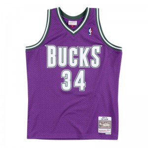 Maillot NBA Ray Allen Millwaukee Bucks 2000-01 Mitchell & ness Hardwood Classic violet