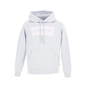 Graphic standard hoodie