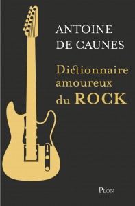 Dictionnaire amoureux du rock - Edition Collector
